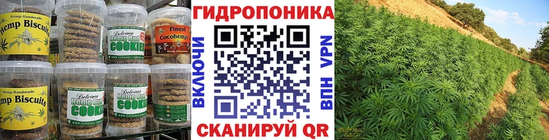 что такое наркотик  Завитинск  Cannafood марихуана 