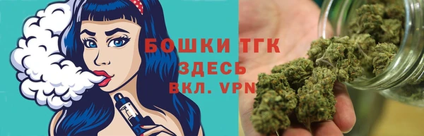 сатива Арсеньев